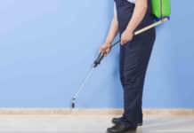 franquias de dedetizadora