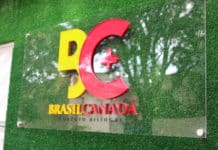 Brasil Canadá projeta 550 escolas em 5 anos Franquia brasil canadá e1531157090155