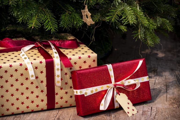 5 dicas para aproveitar as vendas de Natal