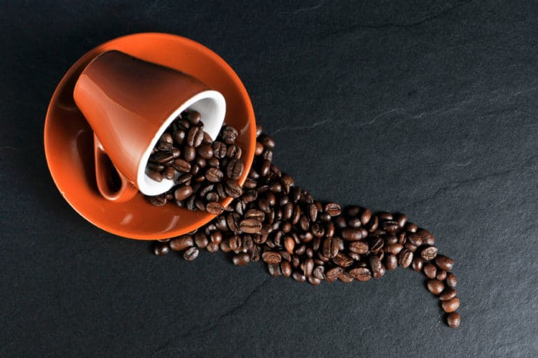 Mara Mix estreia no franchising com franquia barata de café