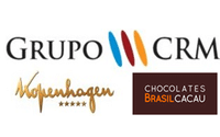 grupo crm