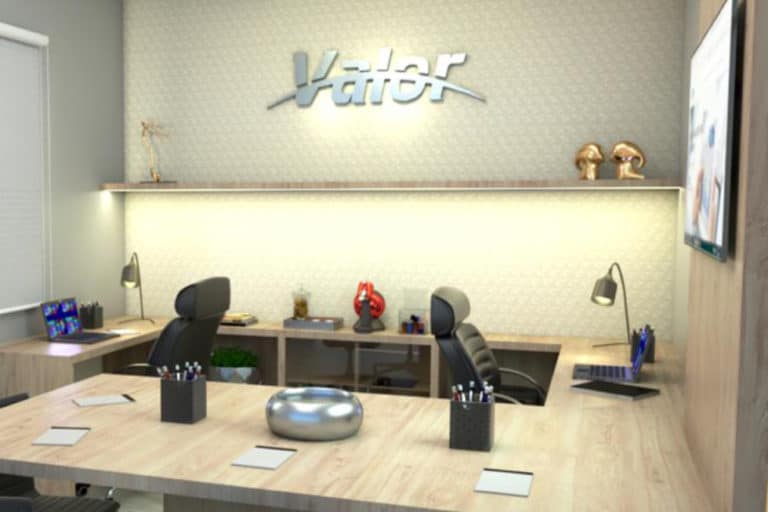 Valor Negócios: conheça a rede e seja um consultor de negócios