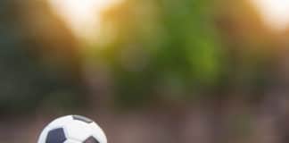 franquia next academy