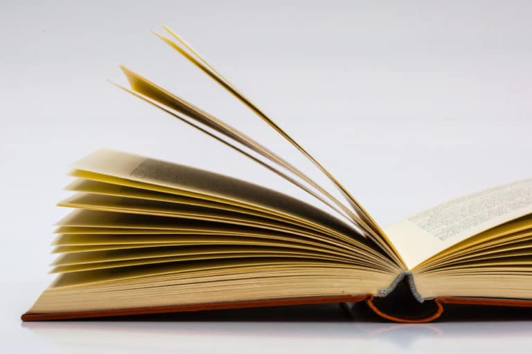 A importância dos manuais em franquias