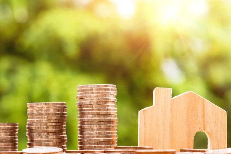 A importância do franchising para a economia brasileira
