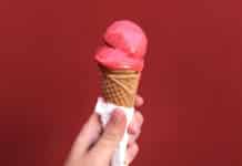 franquias de sorvete 2020