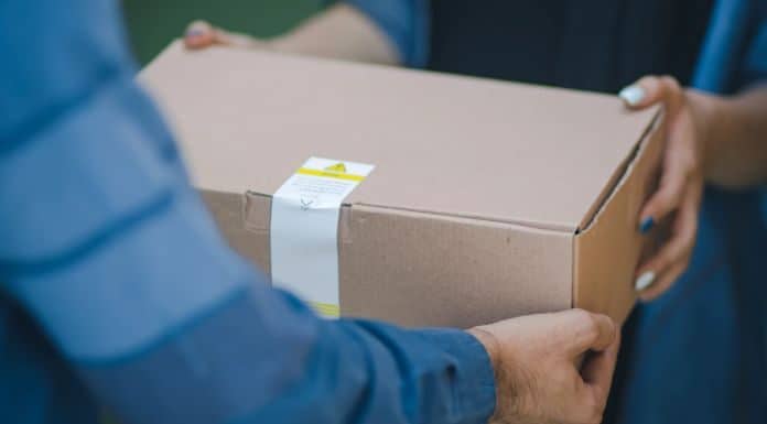 franquias de servico delivery 1