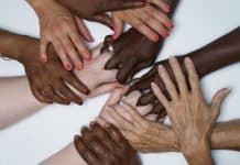 executivas franchising