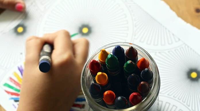 franquias de escola infantil 03