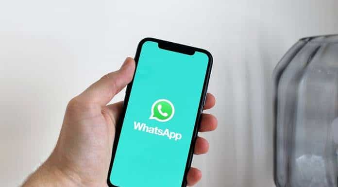 distrito digital whatsapp