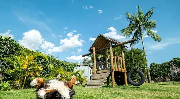 villa-aye-lanca-primeira-franquia-de-pousada-100-pet-friendly-do-brasil