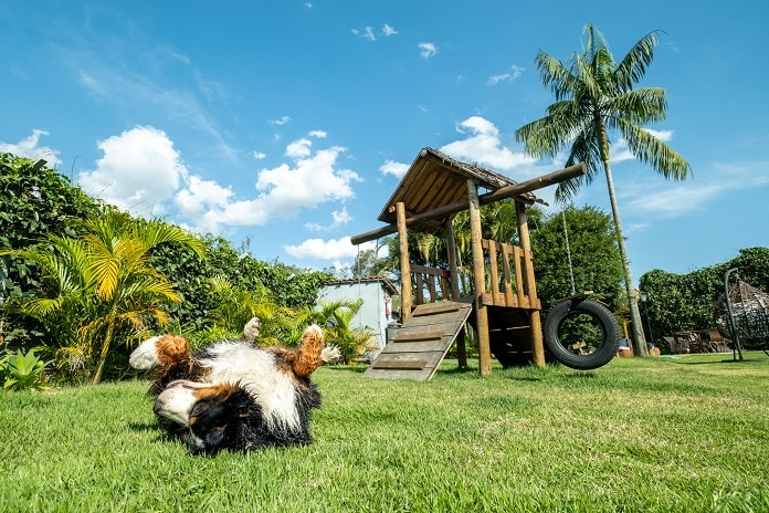 villa-aye-lanca-primeira-franquia-de-pousada-100-pet-friendly-do-brasil