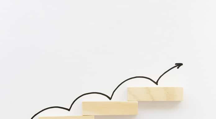 qual-ramo-de-franquia-mais-cresce